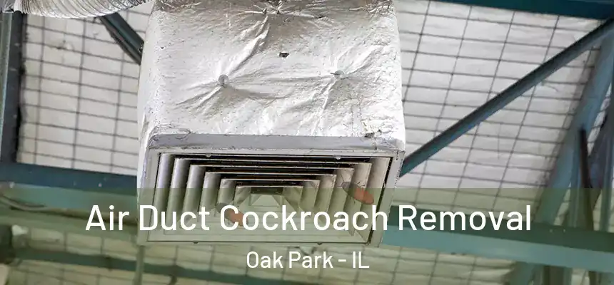  Air Duct Cockroach Removal Oak Park - IL