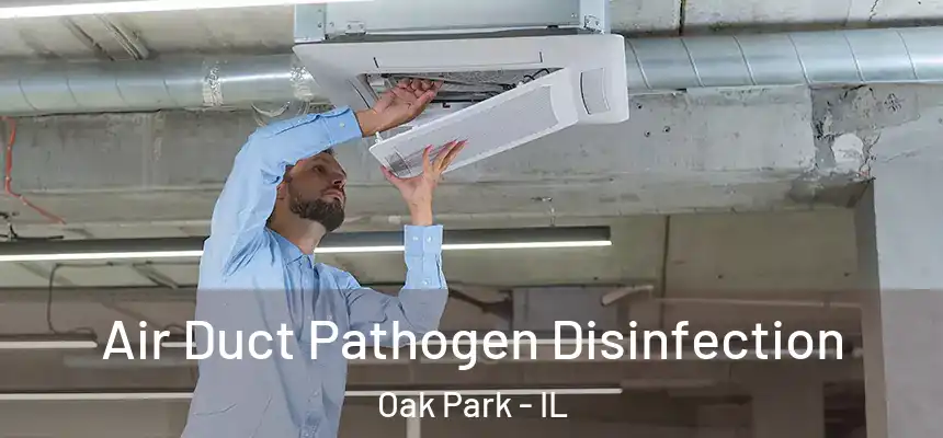  Air Duct Pathogen Disinfection Oak Park - IL