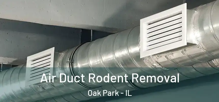  Air Duct Rodent Removal Oak Park - IL