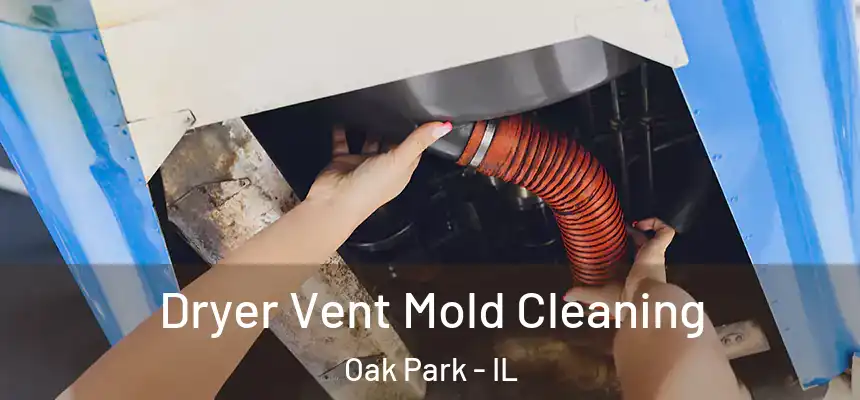 Dryer Vent Mold Cleaning Oak Park - IL