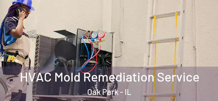  HVAC Mold Remediation Service Oak Park - IL