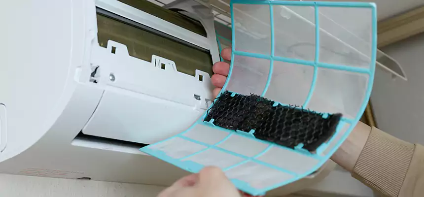 Gentle Ductwork Odor-Control Pet Dander Duct Cleaning in Oak Park, IL