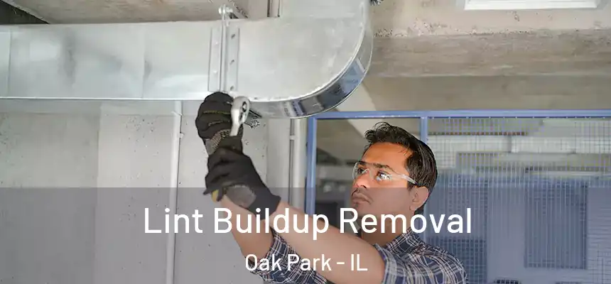 Lint Buildup Removal Oak Park - IL