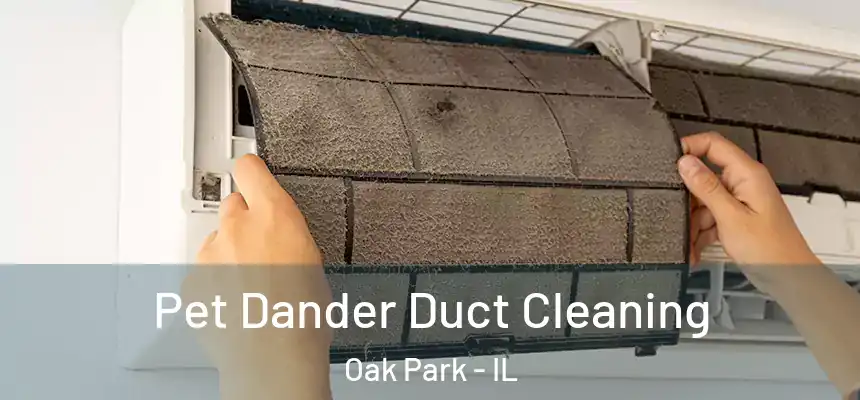 Pet Dander Duct Cleaning Oak Park - IL