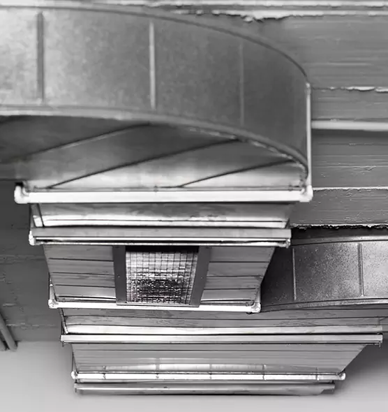 Professional Air Duct Pest Removal in Oak Park, IL