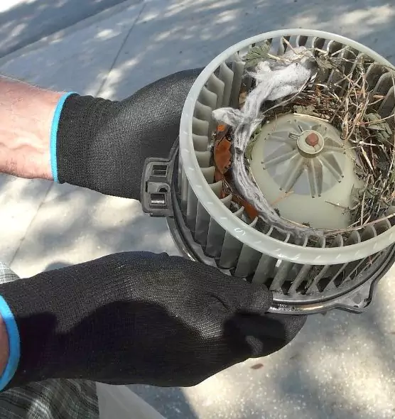 About Air Duct Rat Removal in Oak Park, IL