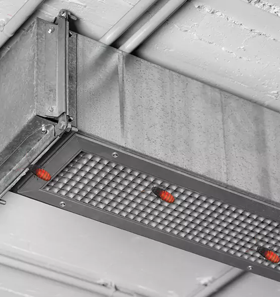 Affordable Insect Removal from Air Ducts in Oak Park, IL