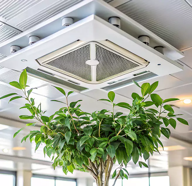 Why Homeowners & Businesses Trust Us in Oak Park, IL?