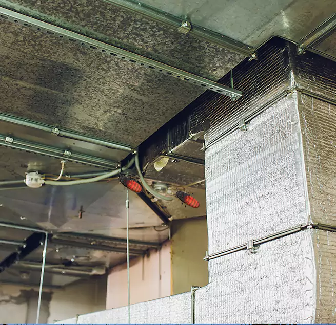 Why Homeowners & Businesses Trust Us Oak Park, IL?